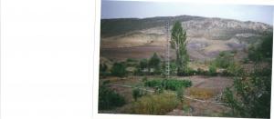 photo prise à taouzient .