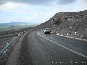 Le site de Columnata - Sidi Hosni - Tiaret