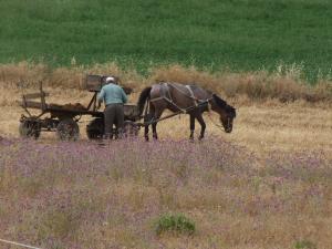 l'homme et la nature