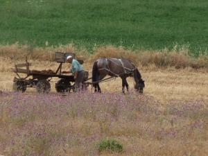 l'homme et la nature