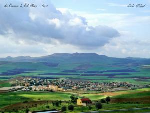 La vedure de Sidi Hosni - Tiaret