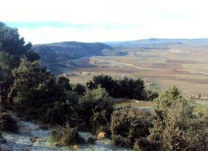 Le mont guertoufa  TIARET