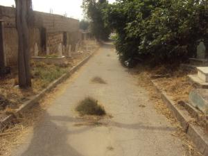 CIMETIERE ANCIEN DE TIARET