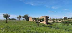 Ce qui reste à Kiffane de l'enceinte de Tlemcen