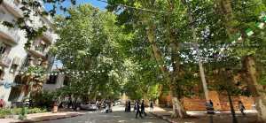 Boulevard 1er Novembre، Tlemcen, jouxtant le Palais de Mechouar