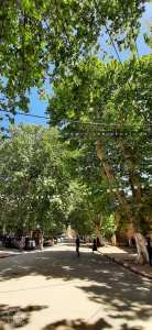 La Rue Belabess à Tlemcen jouxtant le palais du Mechouar