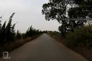 Route de Douar Sidi Moussa vers Ain Youcef