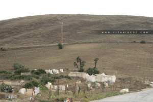 مقبرة بولفراد (بلدية السبعة شيوخ)