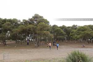 Fôret de Sebaa Chioukh (Medouna)