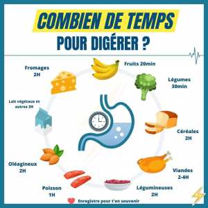 combien de temps pour digérer?