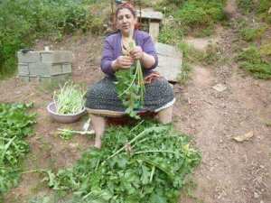 Taγeddiwt en kabyle et garnina en dialecte arabe