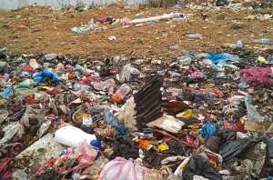 ARRÊT SUR IMAGE - Vu à Jijel:  Une cigogne morte dans une décharge d'ordures