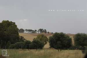 Ferme Coloniale entre Ain temouchent et Les Kéroulis (Chentouf)