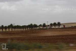 Ferme Coloniale à Chentou (fLes Kéroulis) Wilaya de Ain Temouchent