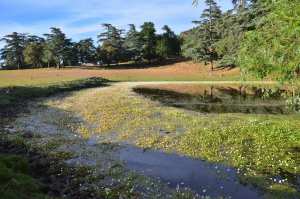 Parc National de Théniat El Had - Tissemsilt