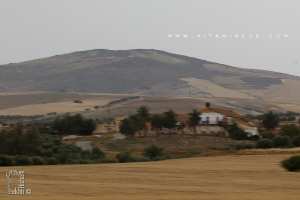 Ferme Coloniale entre Hassassna et Oued Berkeche ex Gaston-Doumergue