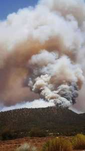 حاليا، النيران مشتعلة بعدة مناطق على مستوى ولاية خنشلة