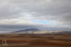 Les monts du Tessala sont une chaîne de l'atlas tellien située en Oranie.