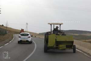 Le temps des Petites et grandes moissonneuses bateuses (Wilaya Sidi Belabbes)