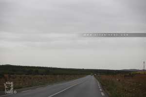 RN 13 ver Telagh, traversant la forêt de Bouhriz