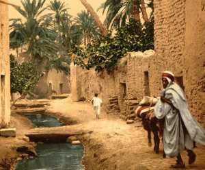 La vieille ville de Biskra