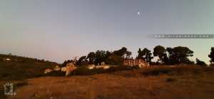 Tlemcen : Les colonies de vacances en voie de disparition