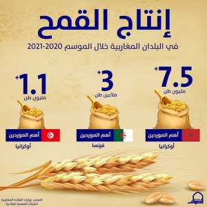 هذا إنتاج البلدان المغاربية من القمح خلال الموسم 2020-2021
