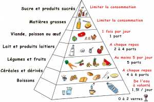 pyramide alimentaire