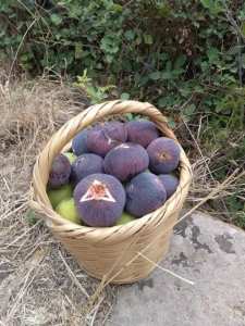 Photos anciennes et plats traditionnels