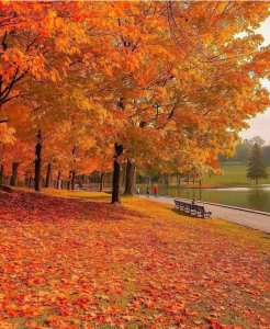 Il suffit de lâcher prise...