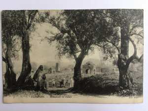 Tlemcen - Marabouts en ruines