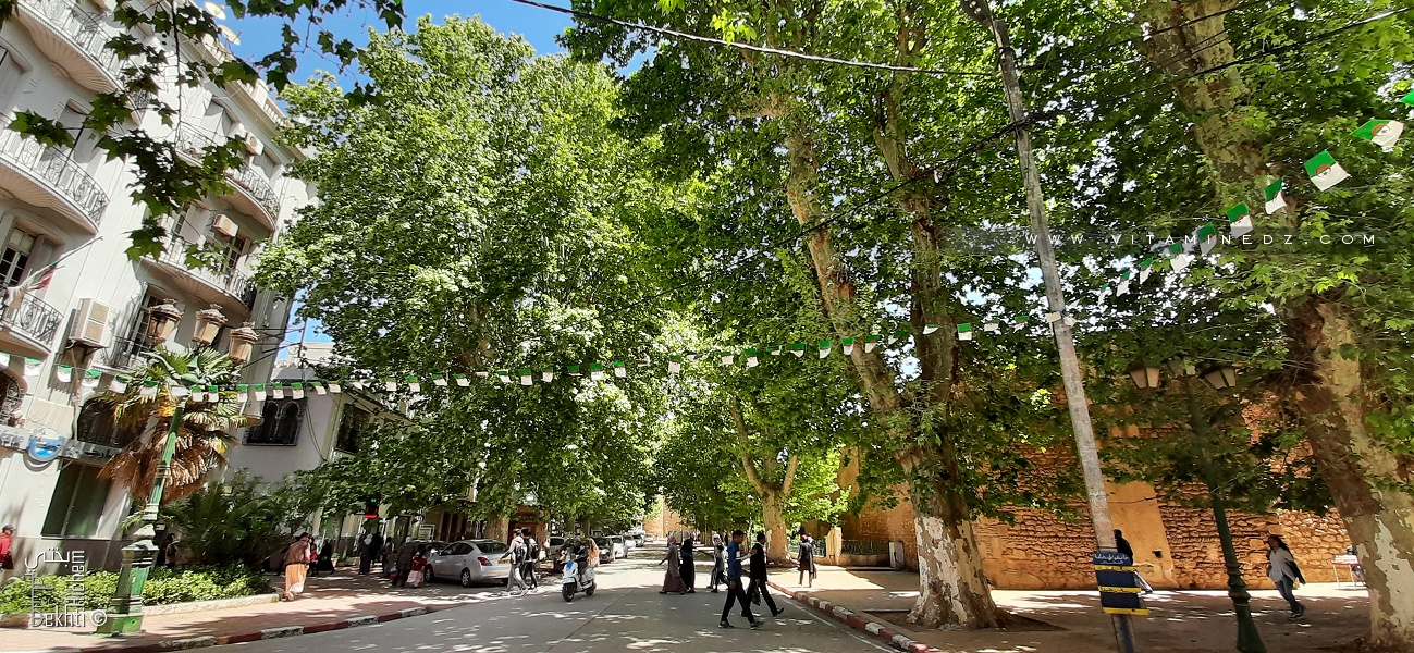 Boulevard 1er Novembre، Tlemcen, jouxtant le Palais de Mechouar