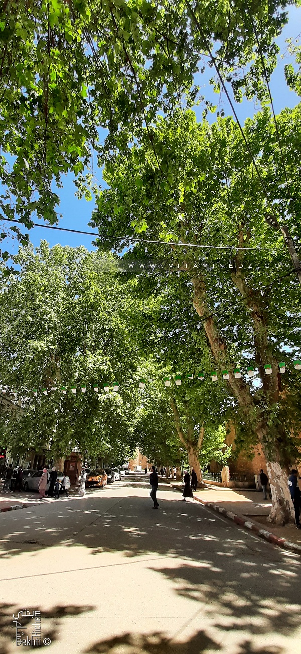 La Rue Belabess à Tlemcen jouxtant le palais du Mechouar