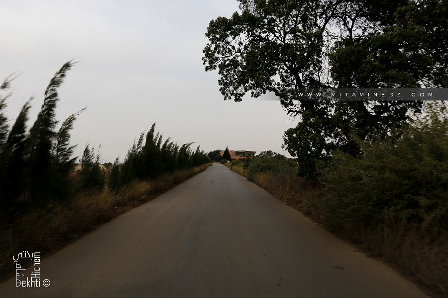 Route de Douar Sidi Moussa vers Ain Youcef