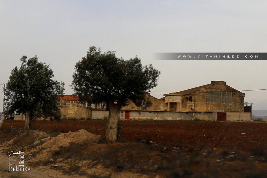 ferme coloniale ou cave? à l'entrée de Ain Youcef