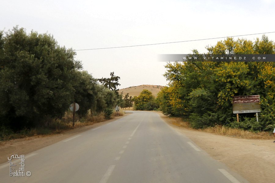 Entrée de la commune d'El Fehoul