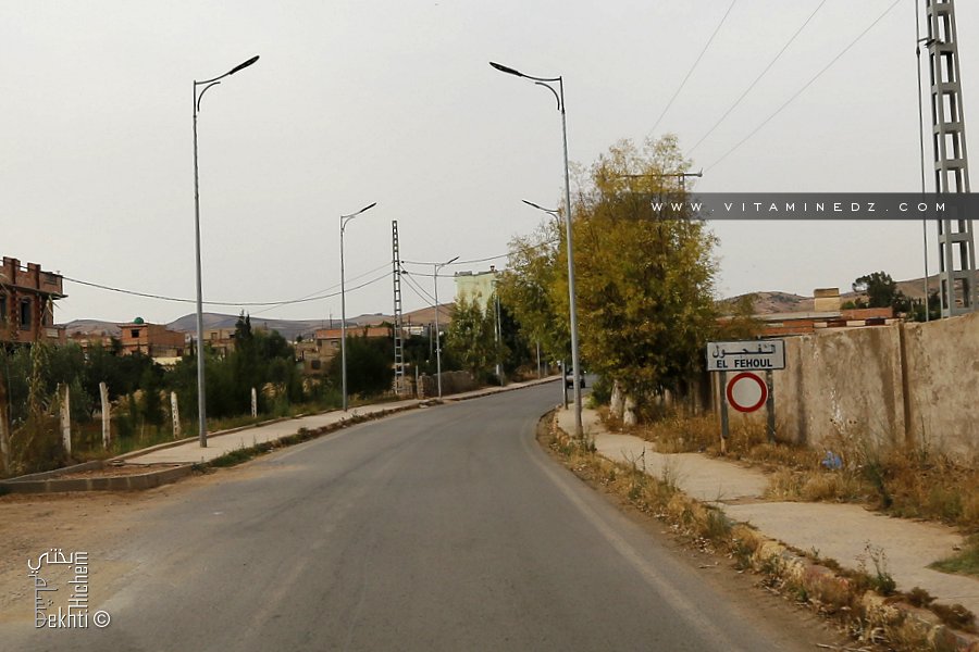 الفحول إحدى بلديات دائرة الرمشي بولاية تلمسان الجزائرية.