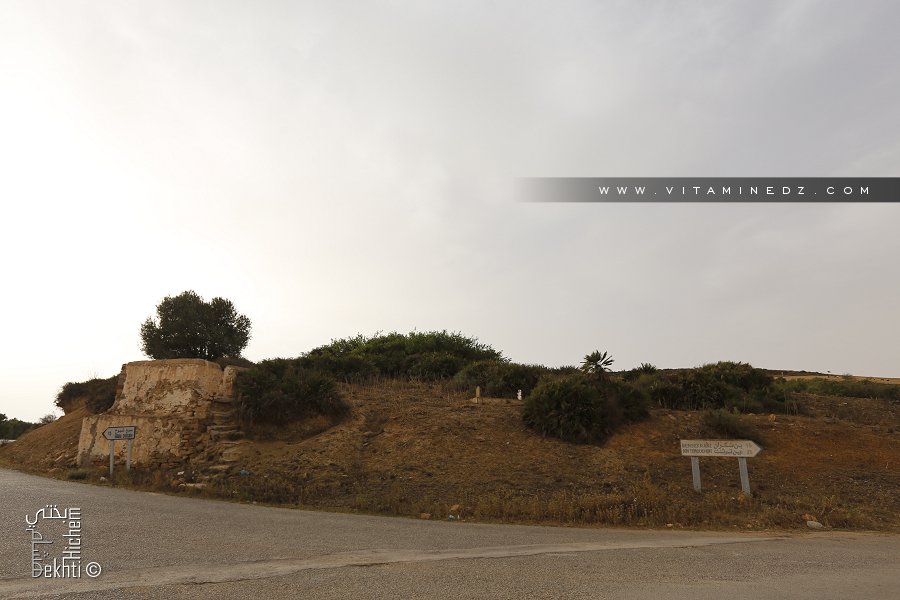 Cimetière de Sidi Ali Benchaïb (El Fehoul)