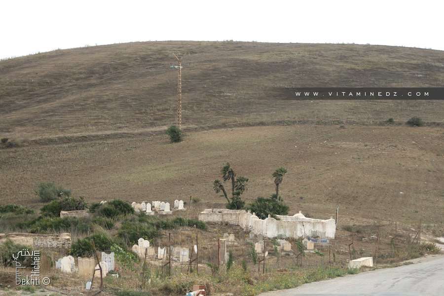 مقبرة بولفراد (بلدية السبعة شيوخ)