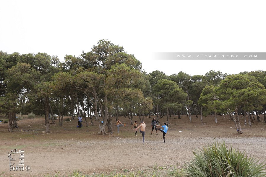 Fôret de Sebaa Chioukh (Medouna)