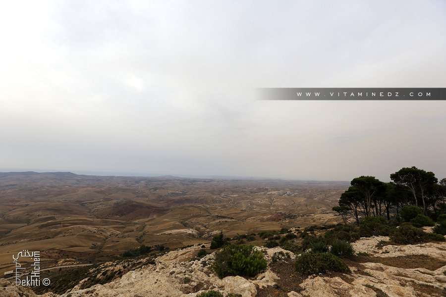 Fôret de Djbel Lakhdar 620m à Sebaa Chioukh (Medouna)