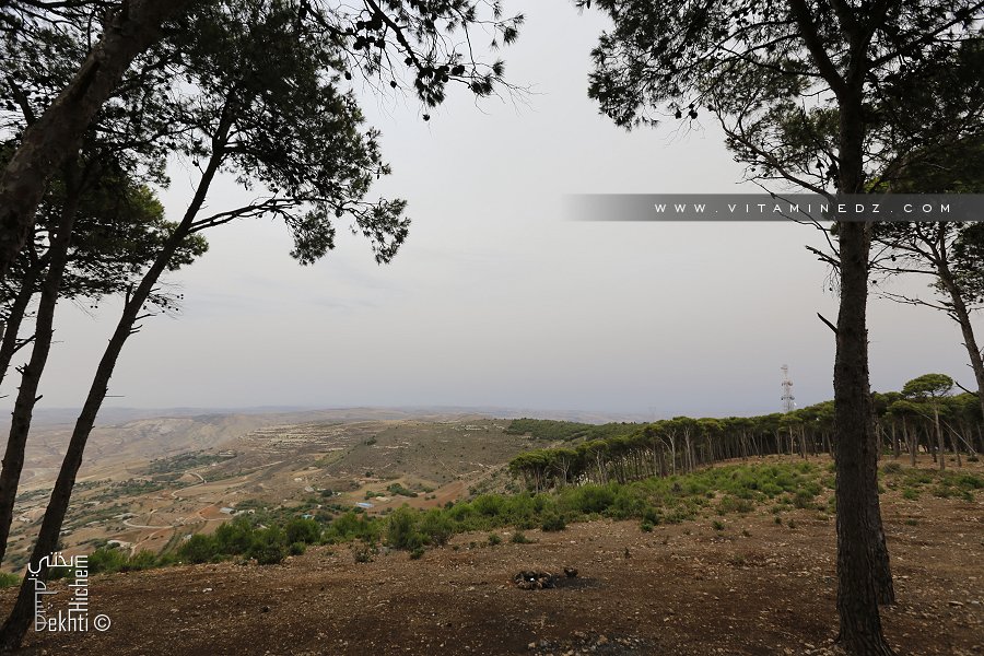 Fôret de Djbel Lakhdar 620m à Sebaa Chioukh (Mediouna)