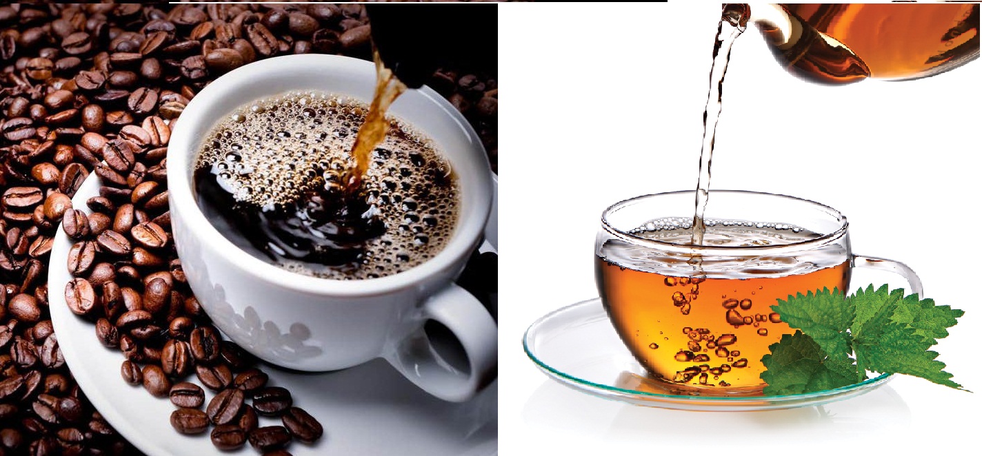 La théine est moins excitante que la caféine