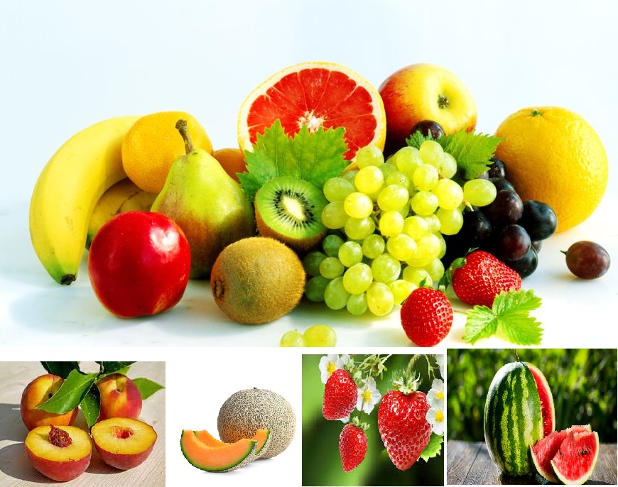 Une sélection des 5 meilleurs fruits de l’été