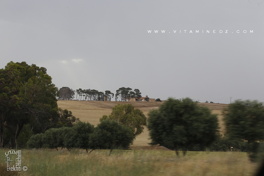 Ferme Coloniale entre Ain temouchent et Les Kéroulis (Chentouf)