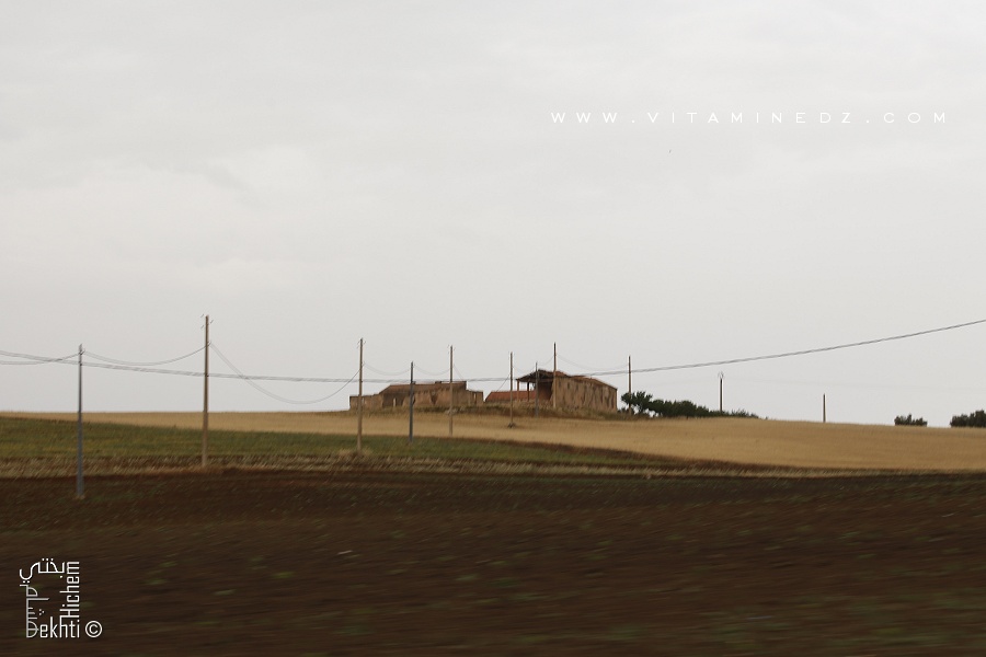 Ferme Coloniale à Hmaina douar de la commune de Oued Berkeche