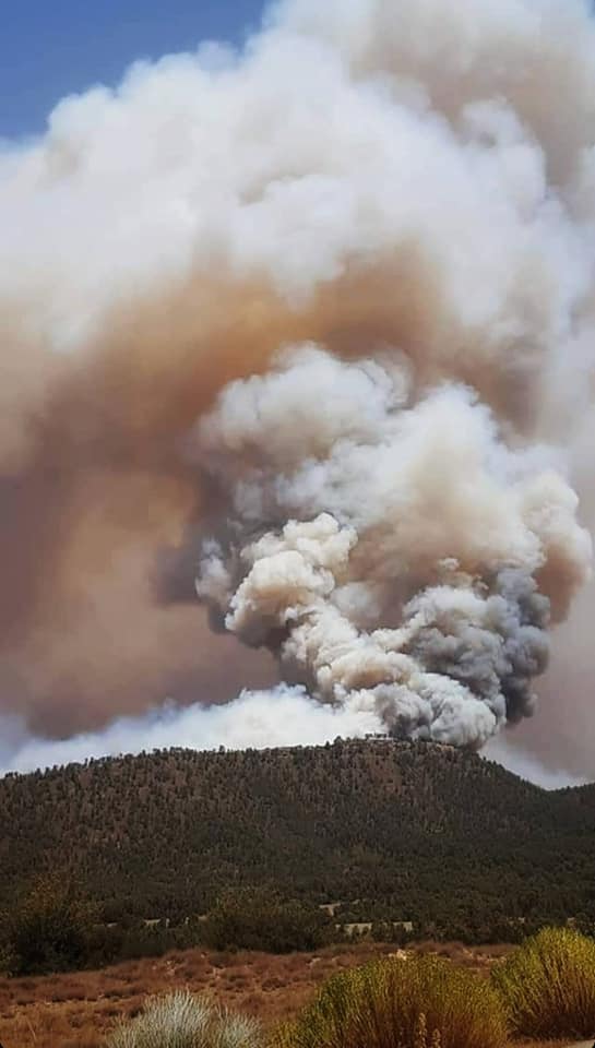 حاليا، النيران مشتعلة بعدة مناطق على مستوى ولاية خنشلة