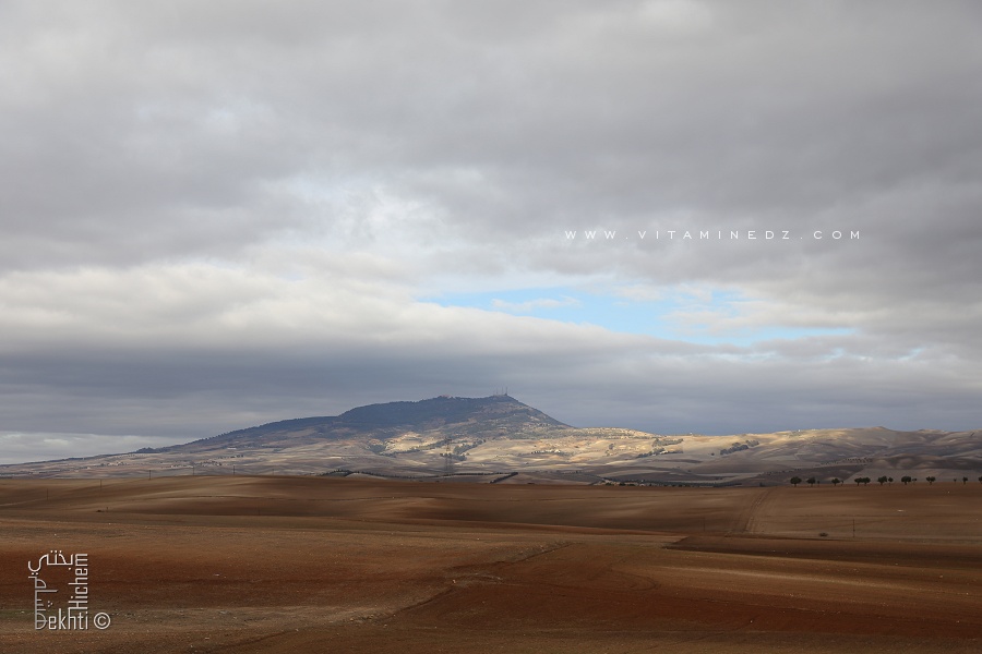 Les monts du Tessala sont une chaîne de l'atlas tellien située en Oranie.