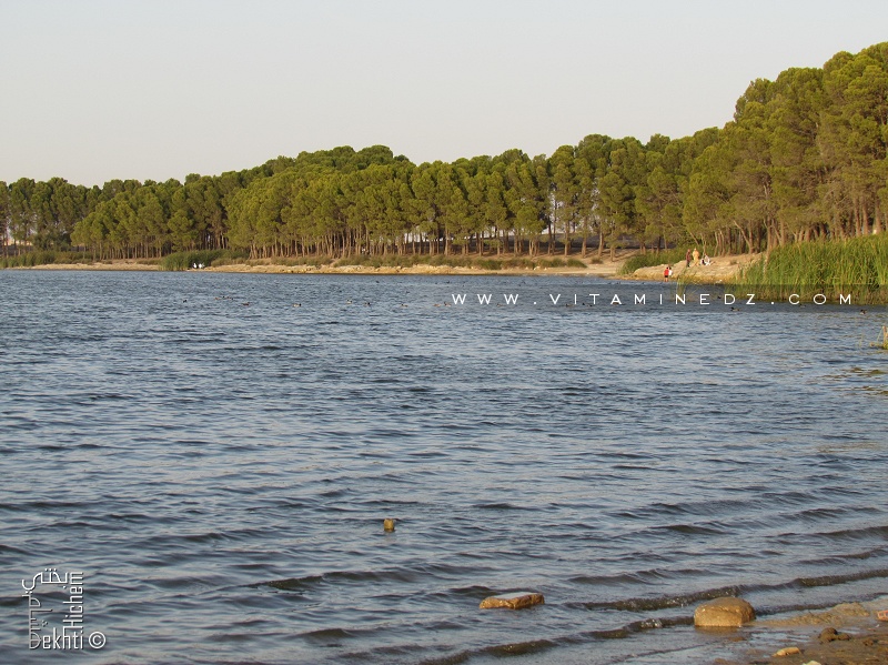 Sidi Bel Abbès : Le lac de Sidi M’hamed Benali, un site naturel par excellence