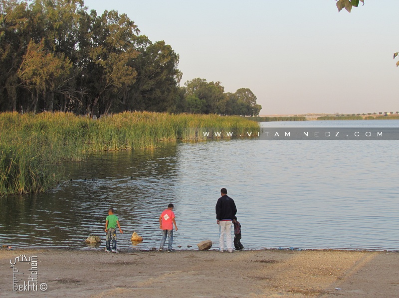 Le lac de Sidi M’hamed Benali (Sidi Bel abbes)